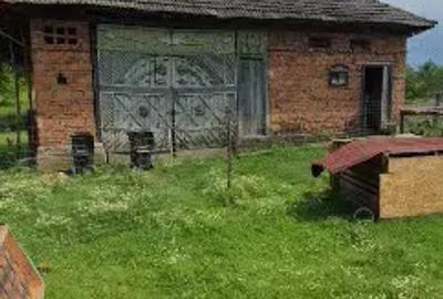 Casă cu 1 camere în Mânău - 4