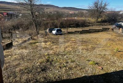 Casă cu 7 camere cu Teren 1000 Mp în Central