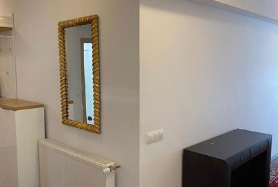 Apartament cu 3 camere decomandat în Ferdinand - 16