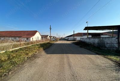 Spațiu comercial, de 7,000 mp, în Central - 4