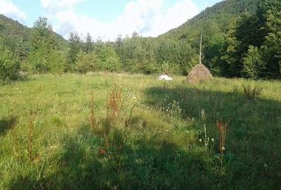 Teren de vanzare, ideal pentru Casa de vacanta/Hotel - 4