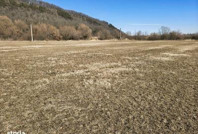 Teren de 2800 mp, în Turnu Roșu - 7