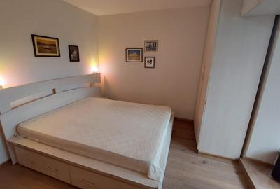 Apartament cu 2 camere in Tatarasi-Oancea-Spital Sf.Maria - 13