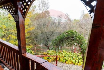 Casa / Vila de vanzare in Cristur jud.Hunedoara - 24