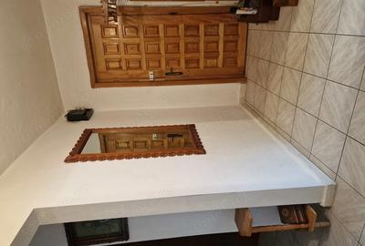 Proprietar-Centru Recas-langa parc - 7