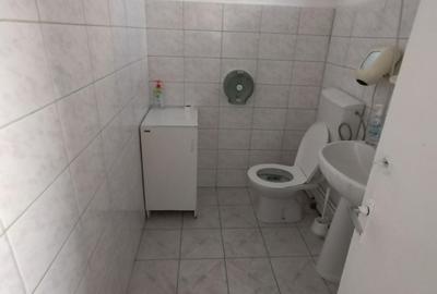 Birou, de 400 mp, în Turnișor - 3
