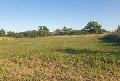 Teren de 720 mp, în Bodrogu Nou