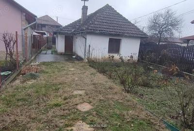 Casă cu 2 camere în Sud - 8