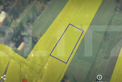 Teren de 900 mp, în Păulești - 3