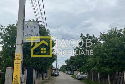 Teren intravilan Lilieci, Hemeius, Bacau - 4