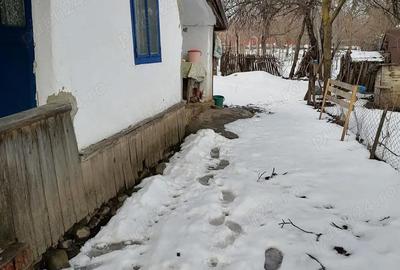 Casă cu 3 camere cu Teren 716 Mp în Buda - 1