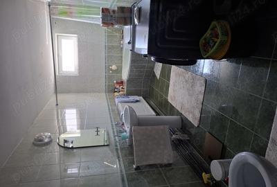 Casa cu lac in comuna Acas jud Saru Mare - 2