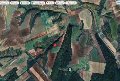 Teren cota parte 1/12 Deleni, ID: R2662164 - 6