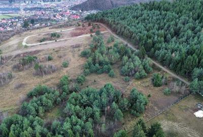 Teren Sacele / Strada Valea Larga 2000 mp - 1