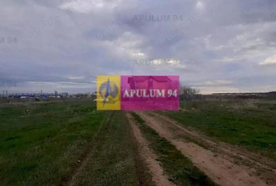 Teren de 1055 mp, în Berceni - 1