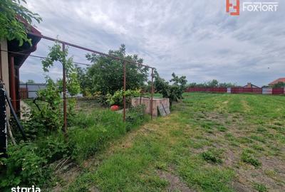 Casă cu 5 camere cu Teren 2543 Mp în Vest - 14