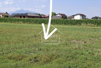 Teren Pretabil Investitie Harman - 6