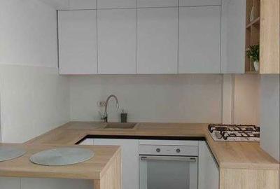 Apartament cu 2 camere semidecomandat în Valea Lupului - 3