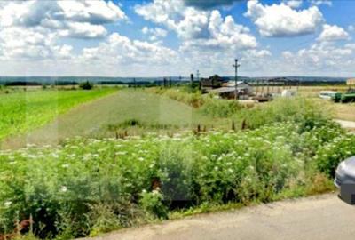 Teren intravilan 5300 mp, la DE 79, pretabil investitie in B - 1