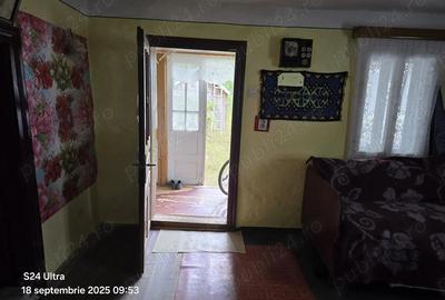 Casa de vanzare - 10