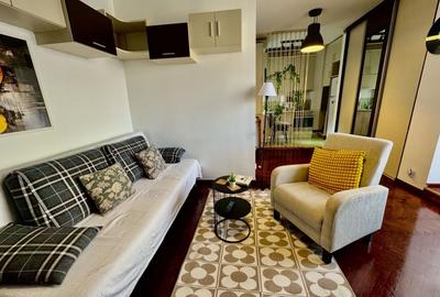 Garsonieră semidecomandată, mobilată în Victoriei - 2