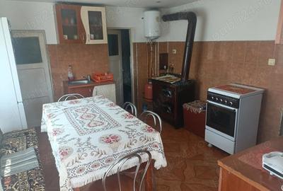 Casă cu Teren 4977 Mp în Ribița - 8