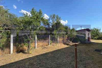 Casă individuală cu 3 camere cu Teren 1300 Mp în Socetu - 4