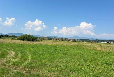 Teren de 800 mp, în Coltău - 2