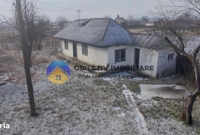 Casă cu 2 camere în Rocna