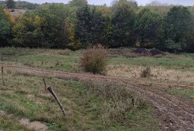 Spațiu comercial, de 240 mp, în Ștubeiu - 18