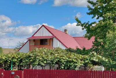 Casă cu 4 camere cu Teren 5000 Mp în Girov - 11