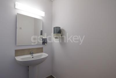Apartament cu 9 camere decomandat în Aviatorilor - 9