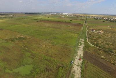 Teren de 5000 mp, în Ciorogârla - 4