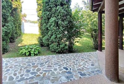 Strada Putin Circulata - 16