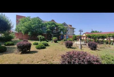 Teren de 2800 mp, în Lovrin - 17