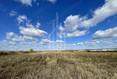 Teren de 14800 mp, în Cristian