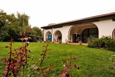 Refugiu toscan la marginea pădurii din Corbeanca, piscină și teren generos - 14