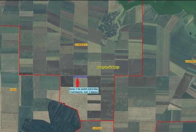 Teren agricol extravilan de 30000 mp, în Gurbănești - 2