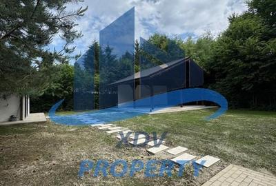 Pensiune/ Vila Valea Avrigului Pensiune/ Vila Valea Avrigului - 25