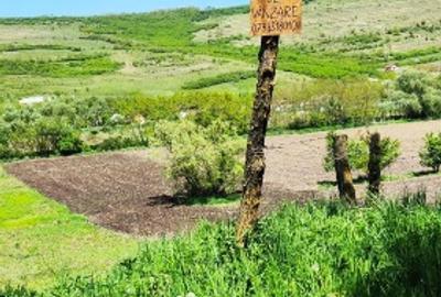 Teren Construcții intravilan de 2900 mp, în Căianu - 6