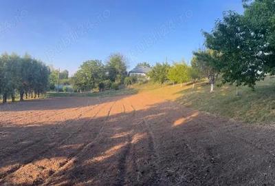 Casă cu 4 camere în Valea Roșie - 3