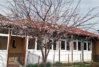 Casă individuală cu 4 camere cu Teren 300 Mp în Fundeni - 9
