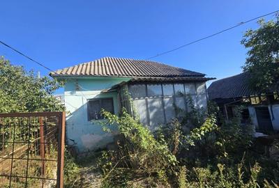 Teren 685 mp + Casa batraneasca, Ștefanesti - Golesti - 1
