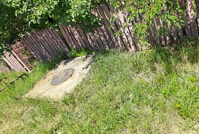 Vand casa batraneasca sat Cucorani - 7