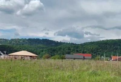 Teren de 2600 mp, în Brășăuți - 2