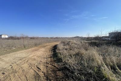 Sos Alexandriei, langa Cartierul Verde, teren 7500mp, utilitati - 2