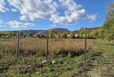 Teren de 5400 mp, în Polovragi - 4