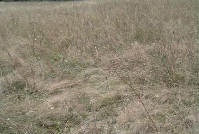 Casă cu 4 camere în Central - 1