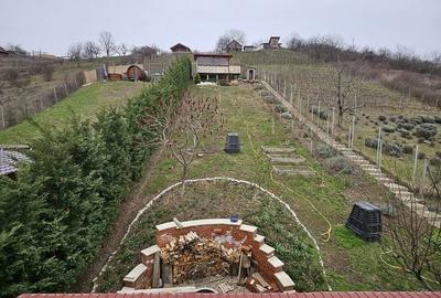 Casă cu 2 camere în Podgoria - 17