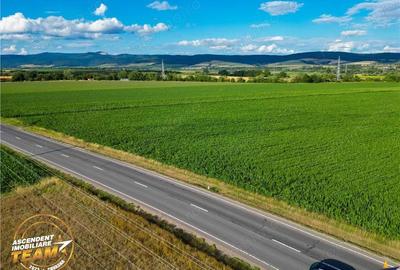 FILM! 30.200 mp teren intravilan,recomandat: investitie exploatare agricola,Valea Crisului - 1